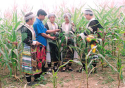 Khó khăn trong phát triển đảng ở những xóm trắng đảng viên